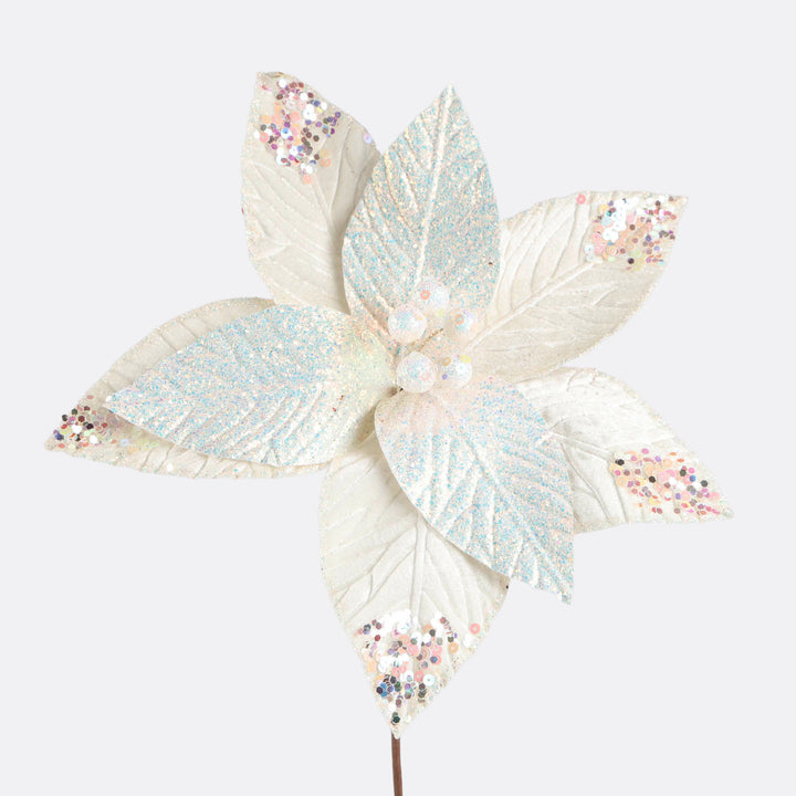 White Irridescent Poinsettia Flower