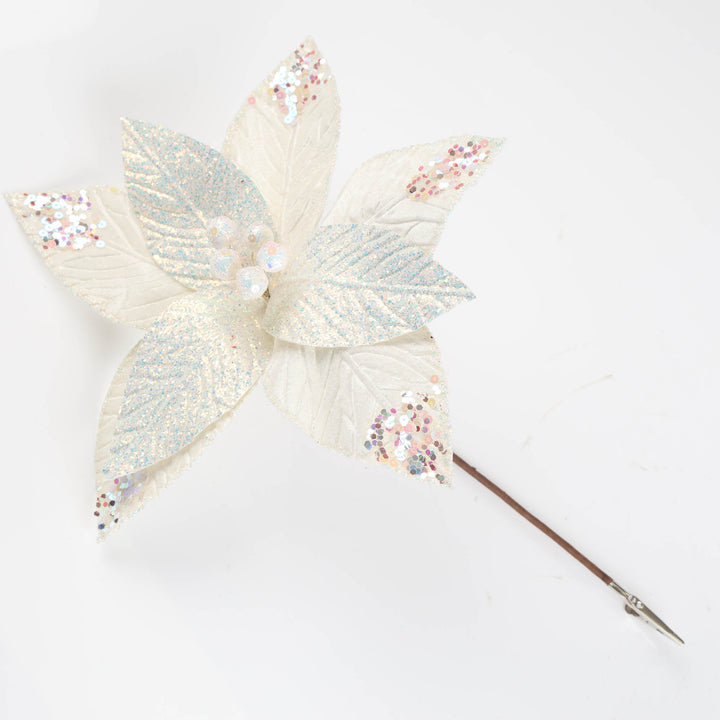 White Irridescent Poinsettia Flower