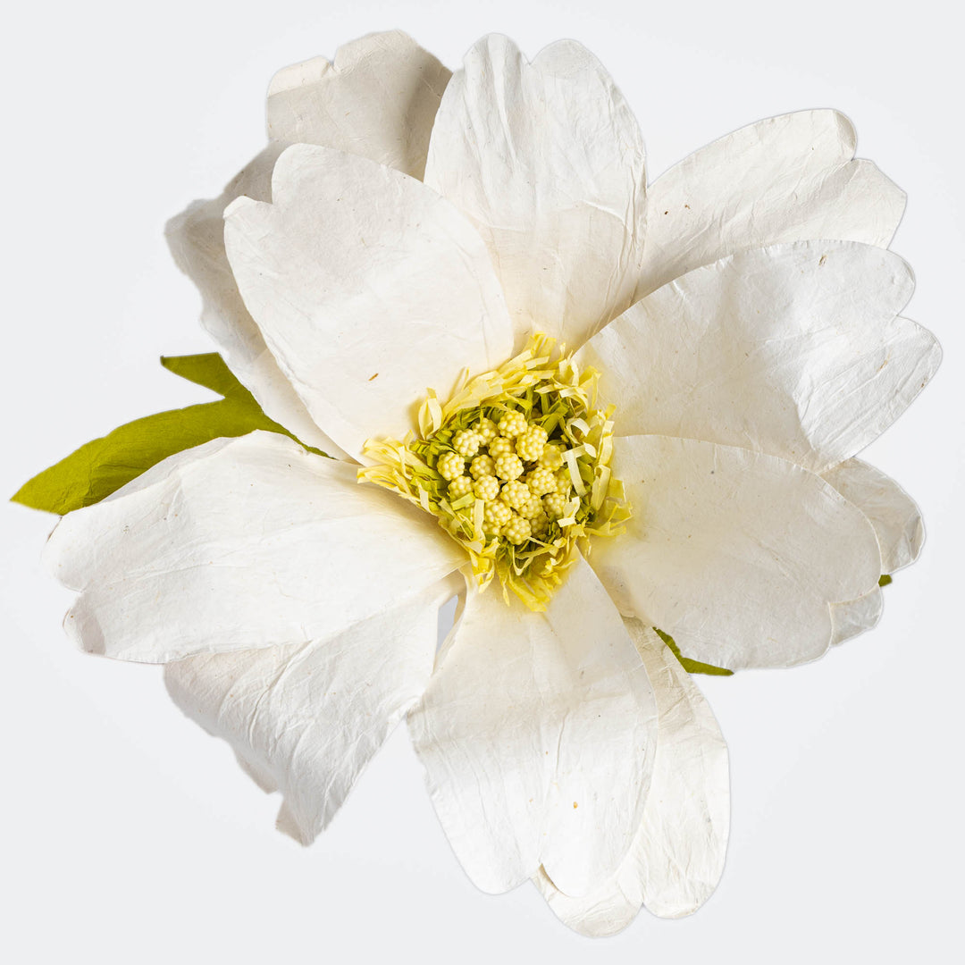 White Paper Daisy Extra Large
