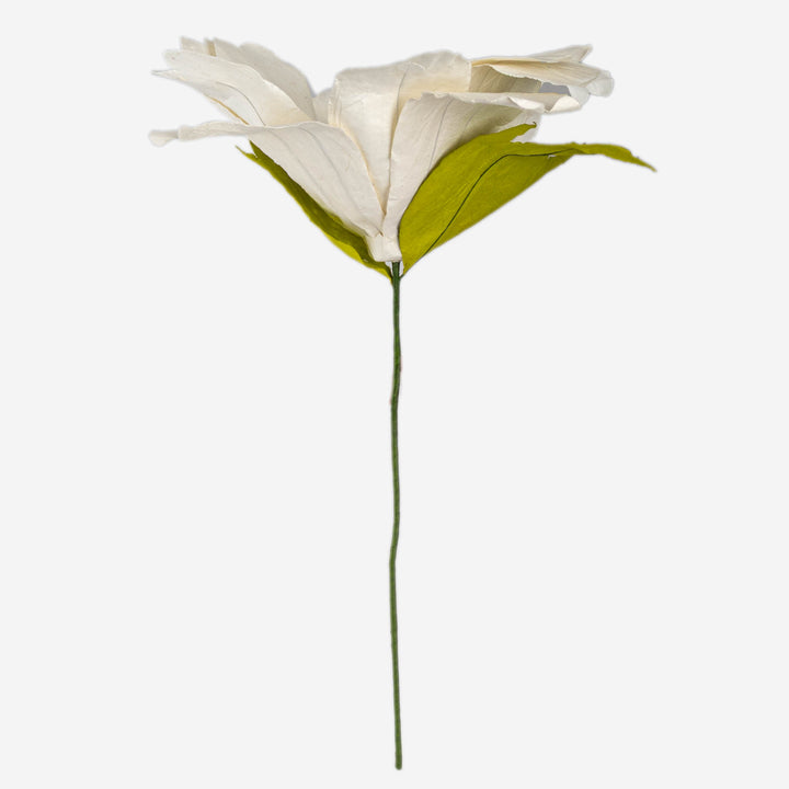 White Paper Daisy Extra Large