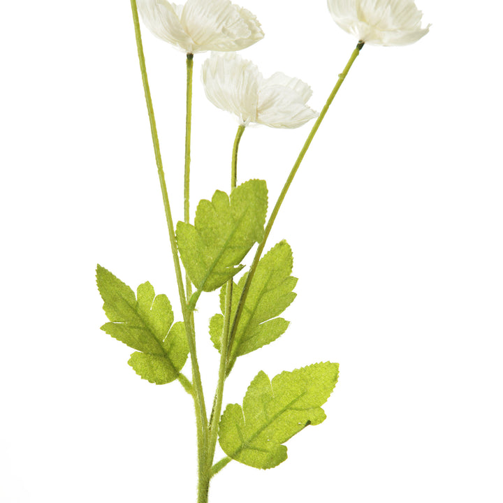 White Poppy Flower Spray