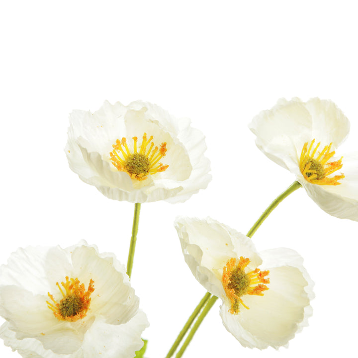White Poppy Flower Spray