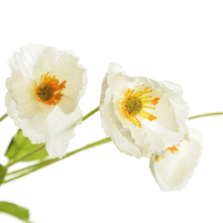 White Poppy Flower Spray