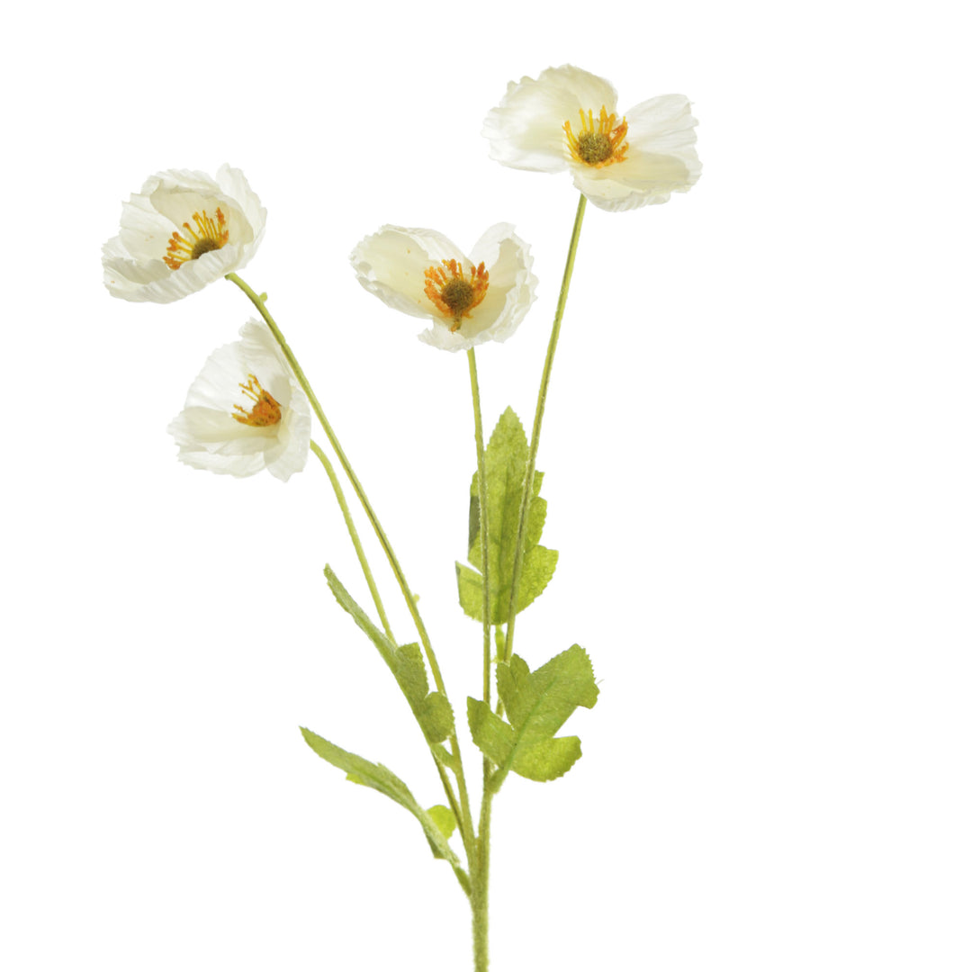 White Poppy Flower Spray