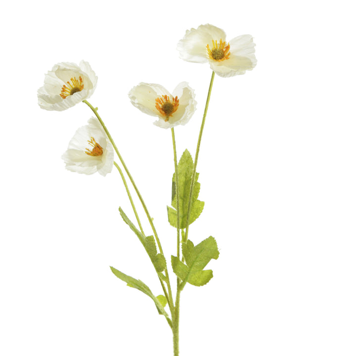 White Poppy Flower Spray