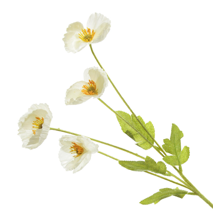 White Poppy Flower Spray