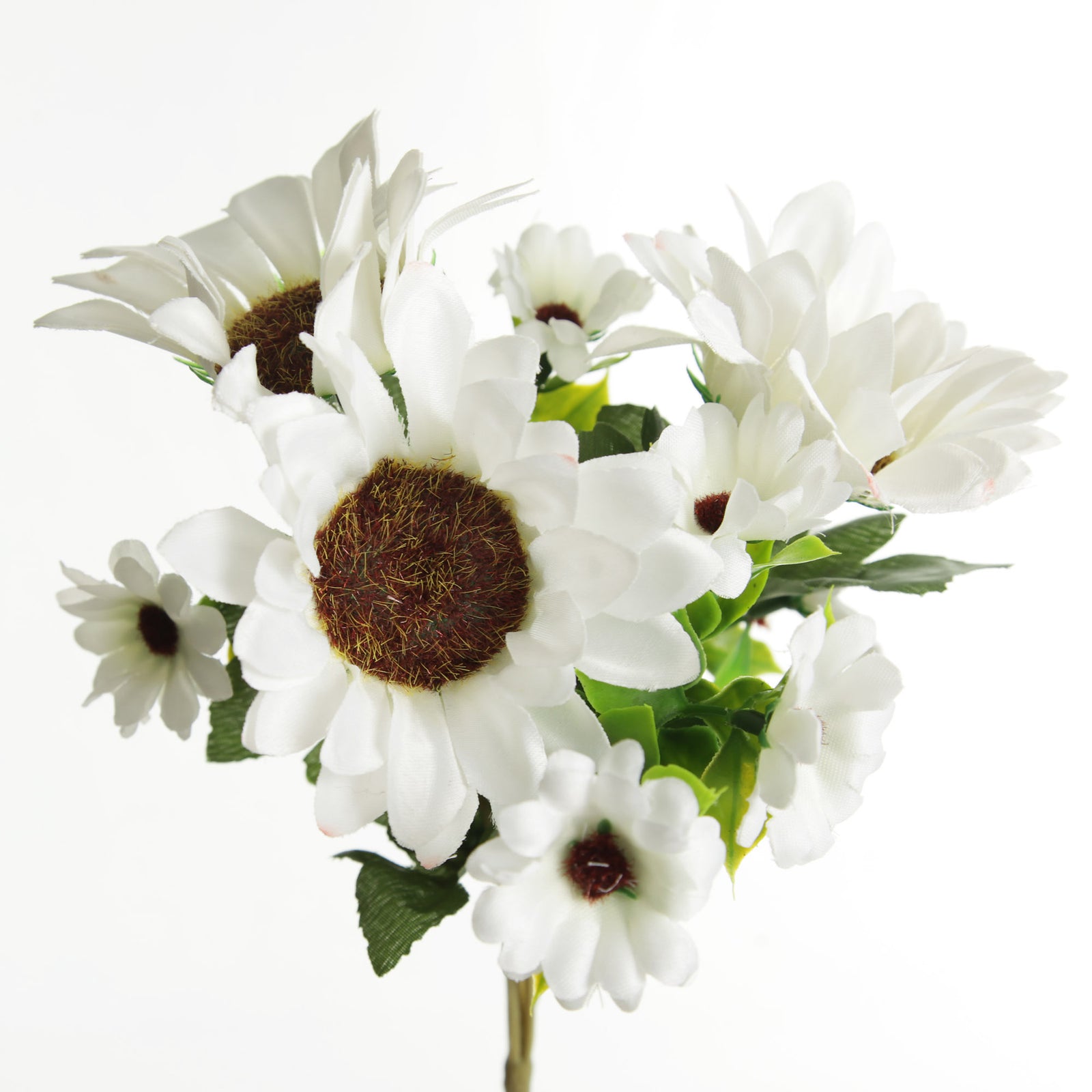 White Sunflower Bunch
