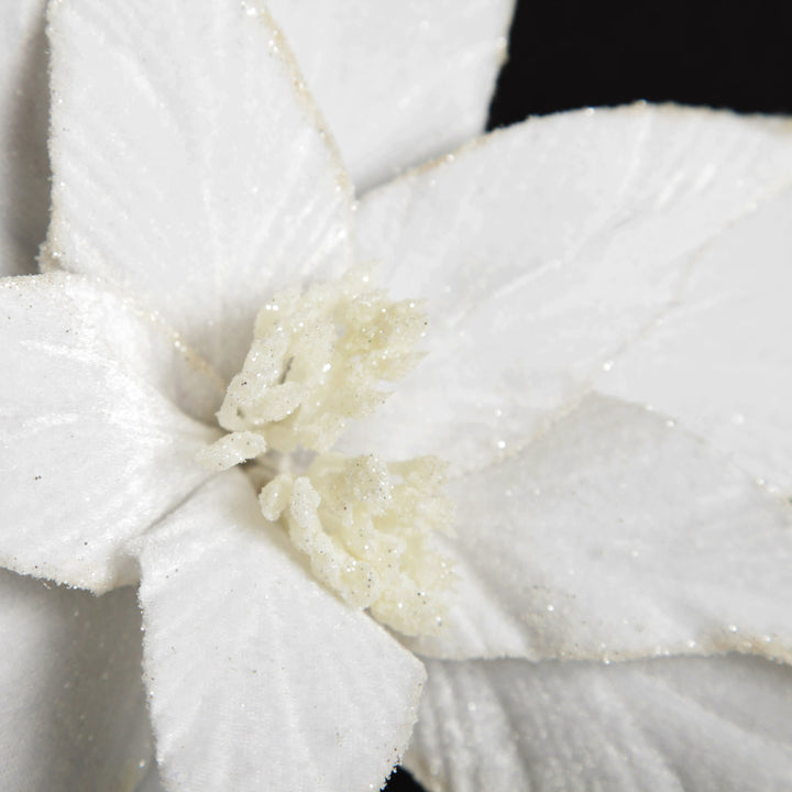 White Velvet Poinsettia Flower Stem