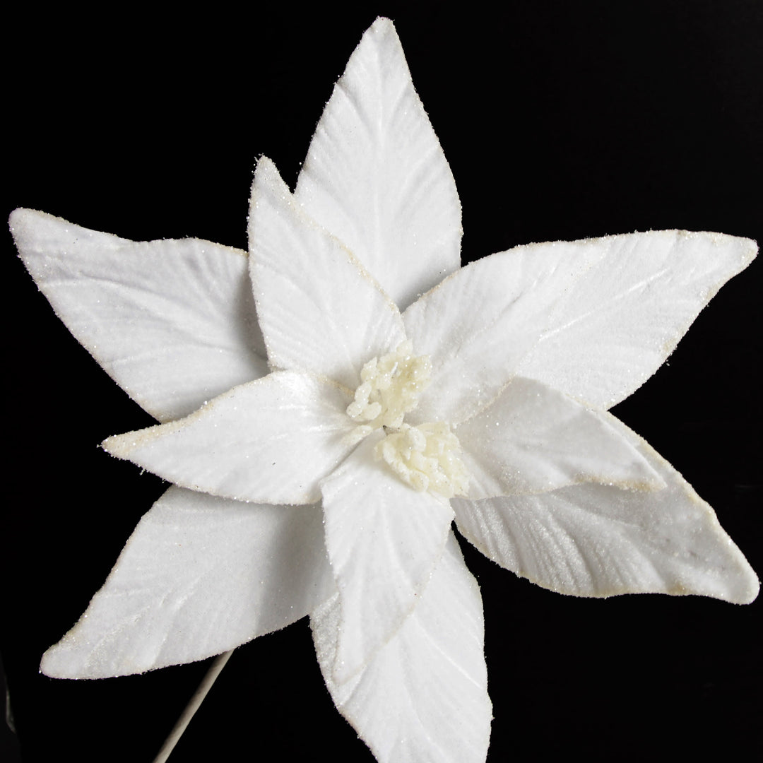 White Velvet Poinsettia Flower Stem