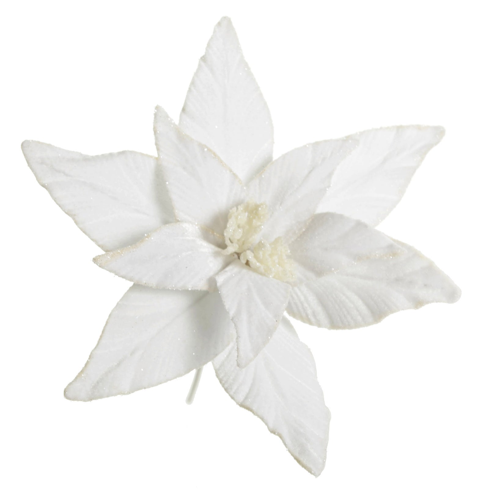 White Velvet Poinsettia Flower Stem