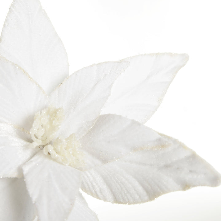 White Velvet Poinsettia Flower Stem