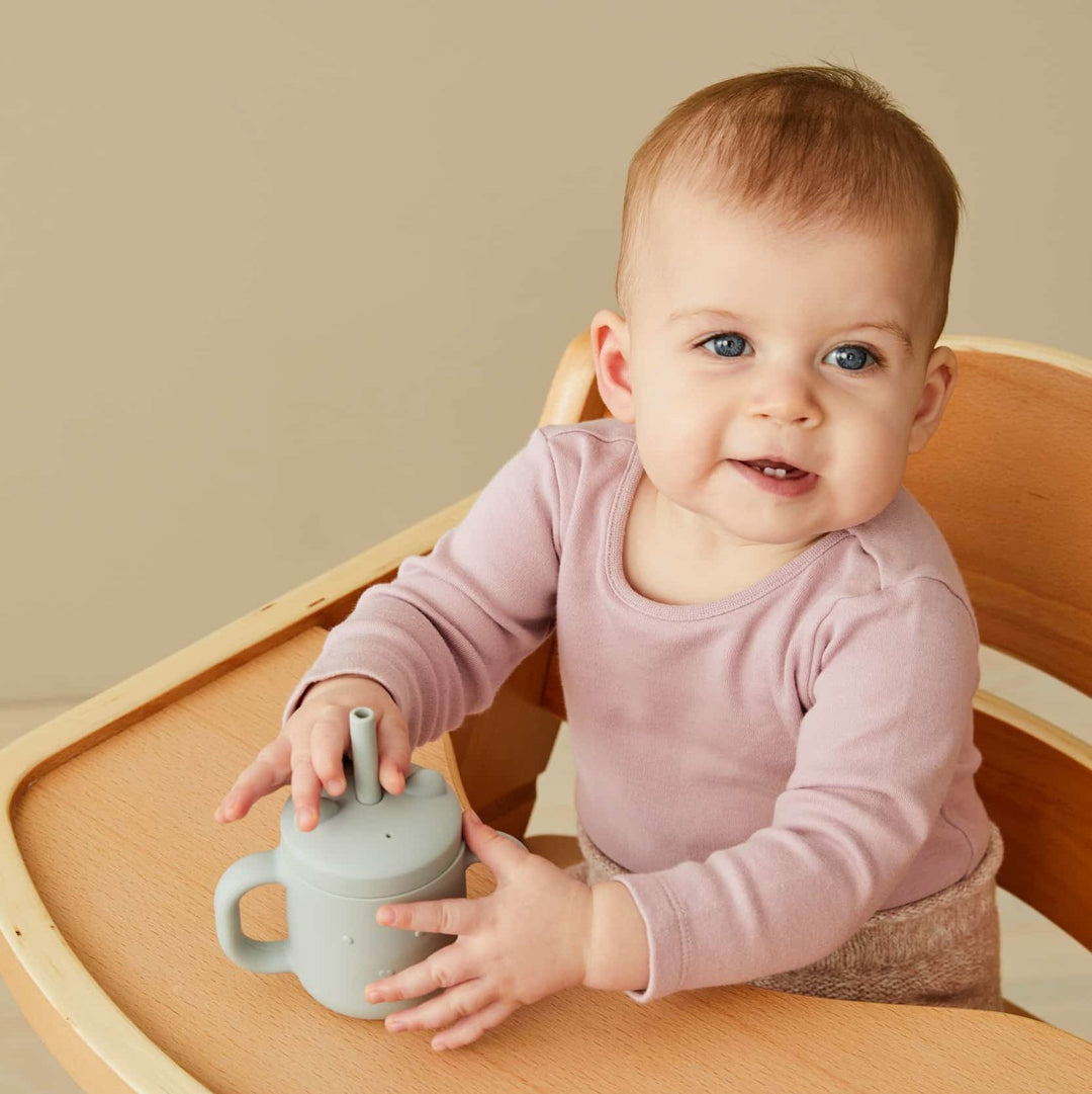 Henny Silicone Sippy Cup with Straw - Steele