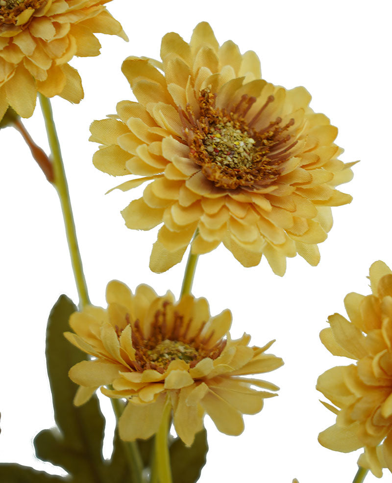 Yellow Garden Crysanthemum Spray