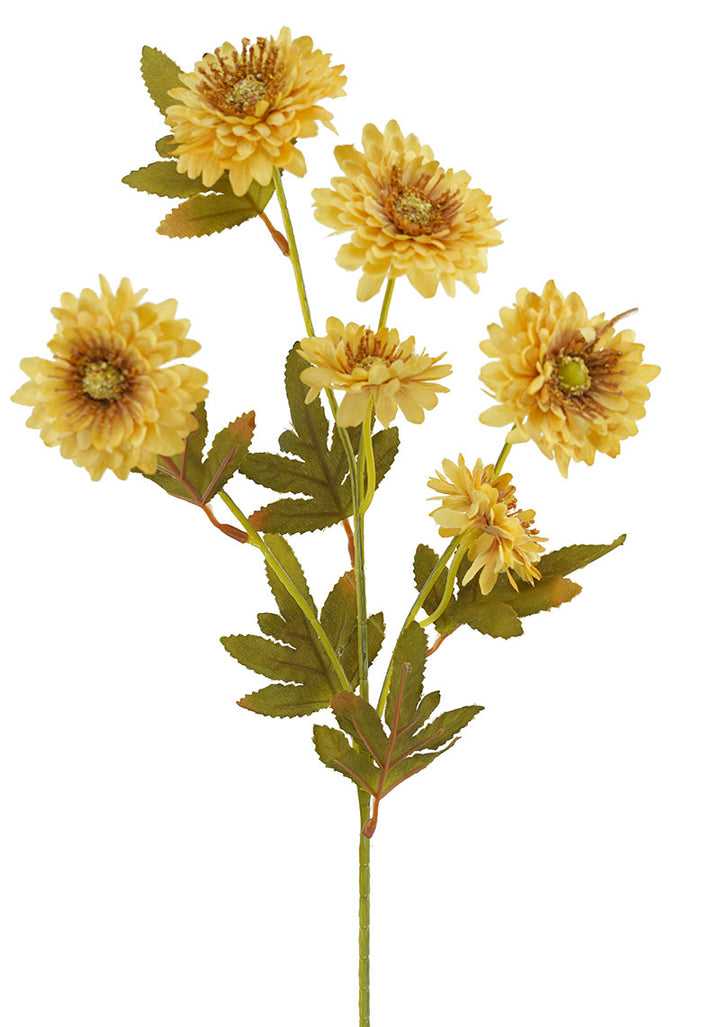 Yellow Garden Crysanthemum Spray