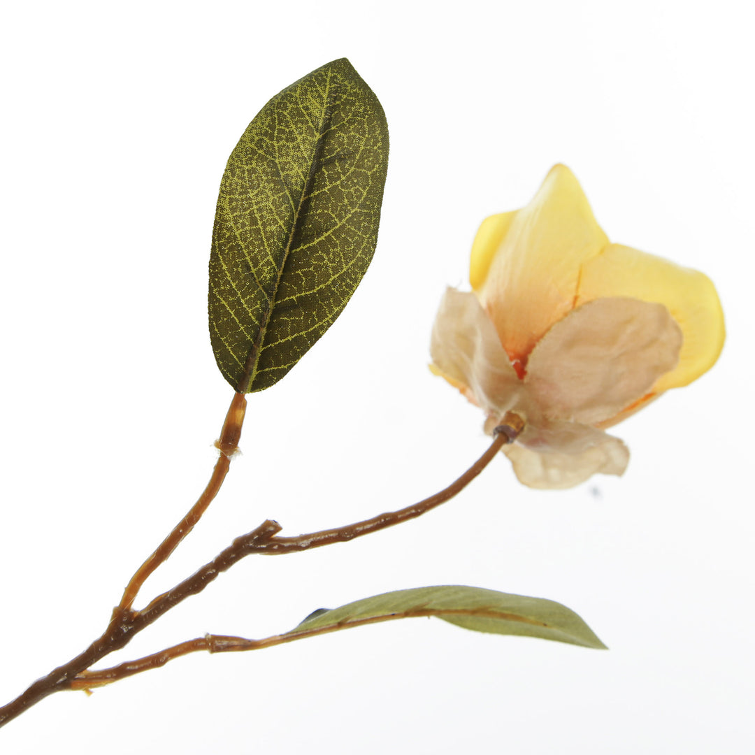 Yellow Japanese Quince Flower Spray