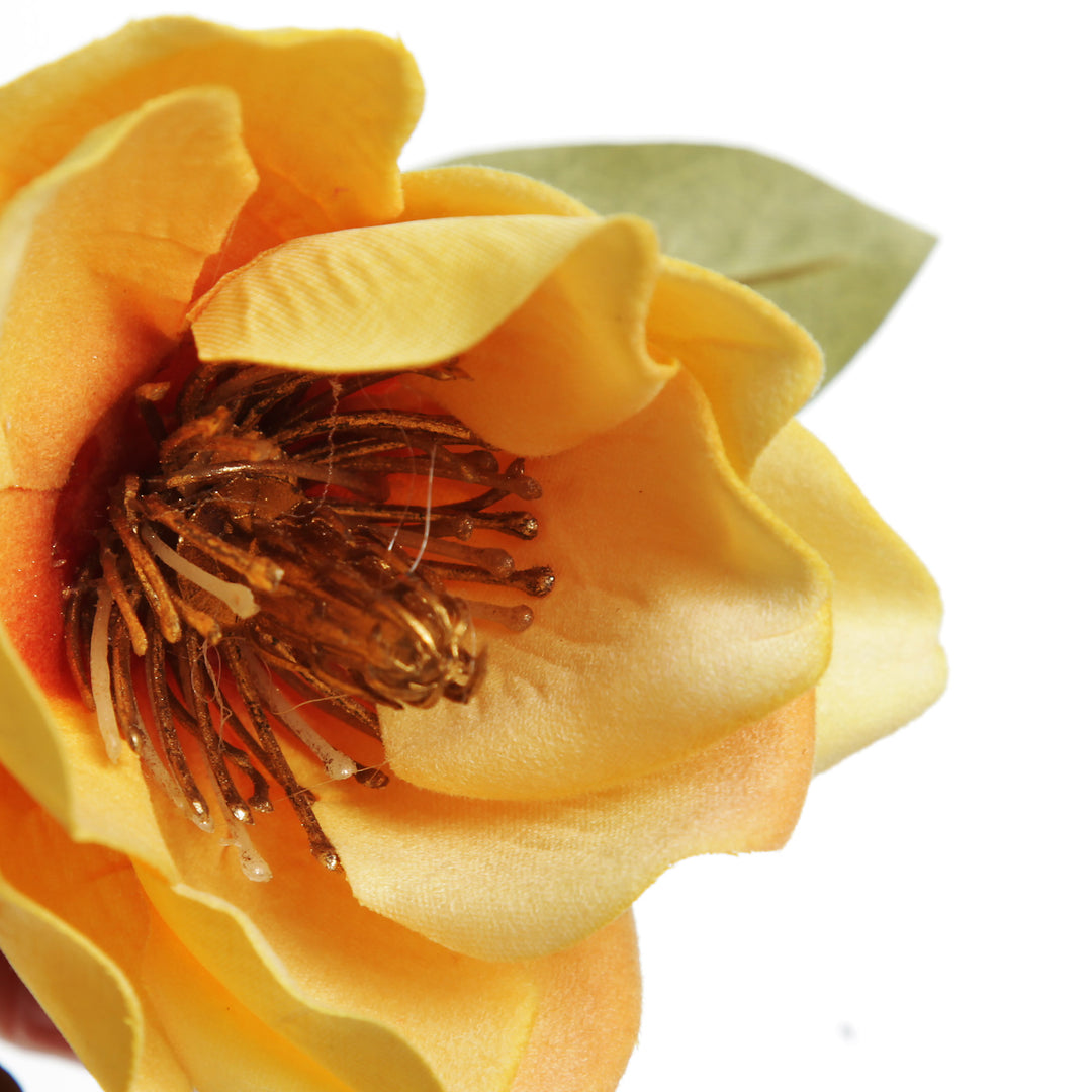 Yellow Japanese Quince Flower Spray