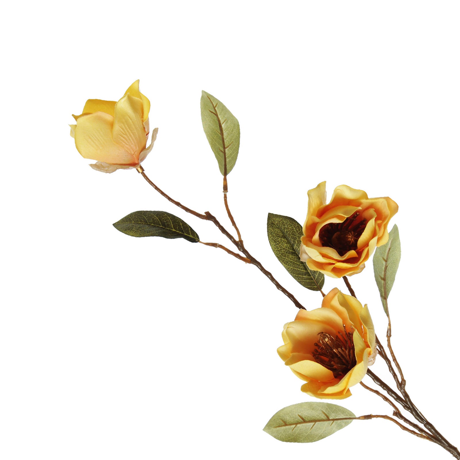 Yellow Japanese Quince Flower Spray