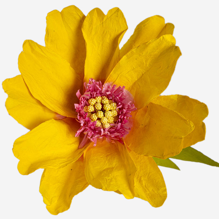 Yellow Paper Daisy Extra Large