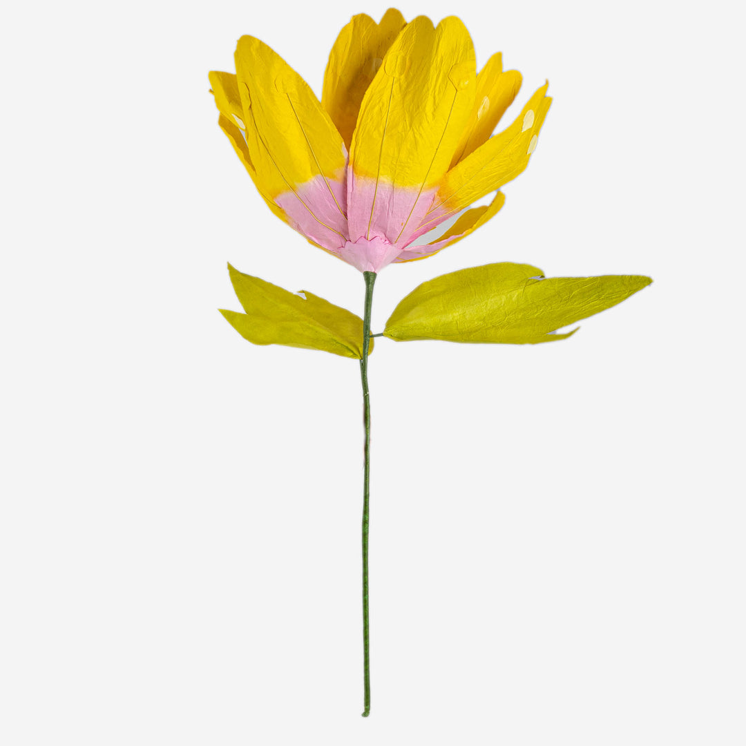 Yellow Paper Daisy Extra Large