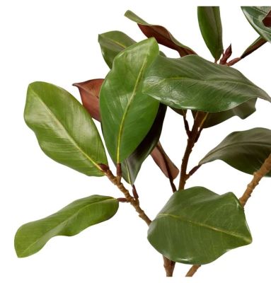 Luxury Green Magnolia Leaf Spray