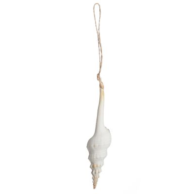 Hanging Conch Shell Tree Decoration
