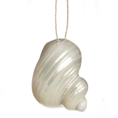 Hanging Silvermouth Shell Tree Decoration 