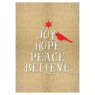 Joy Hope Peace Believe Christmas Poster Print