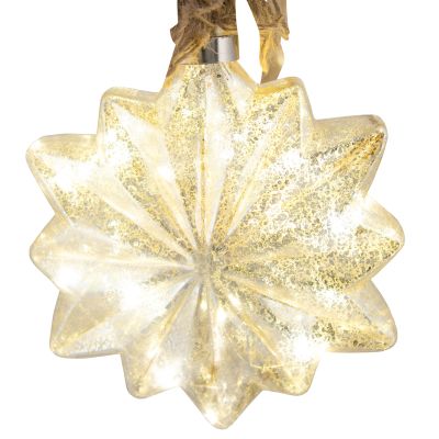LED Champagne Star with Hanging Rope