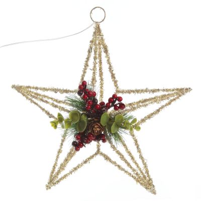 Lightup Champagne Tinsel Wire 3D Star Tree Topper with Cone and Berry