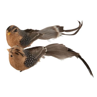 Natural Brown Feathered Tail Bird Clip - Set of 2
