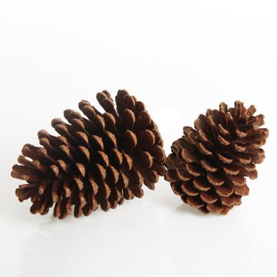 Chocolate Glitter Faux Hanging Pinecone