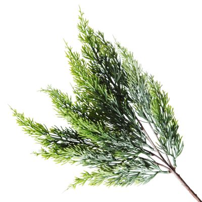 Cypress Pine Christmas Spray