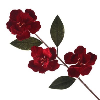 Red Magnolia Flowers Stem