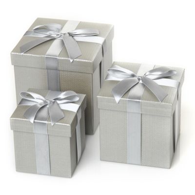 Metallic Silver Gift Box Group