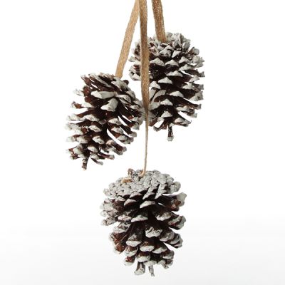 Natural Snow Tipped Pine Cone Drop Trio