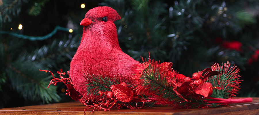 rustic christmas cardinal bird